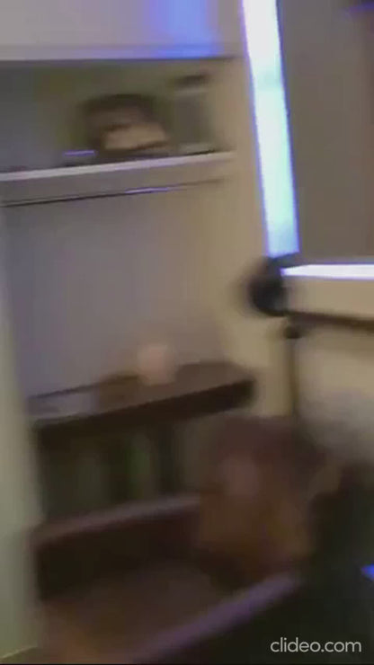 Tree Branch LED Lights