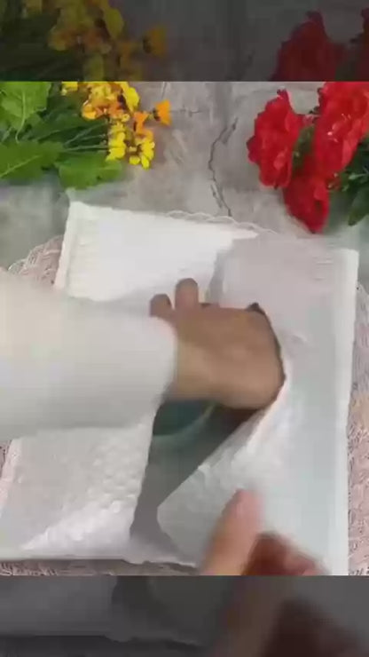 Brazilian lucky bamboo live plant